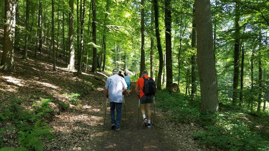 Nordic Walking in Zell