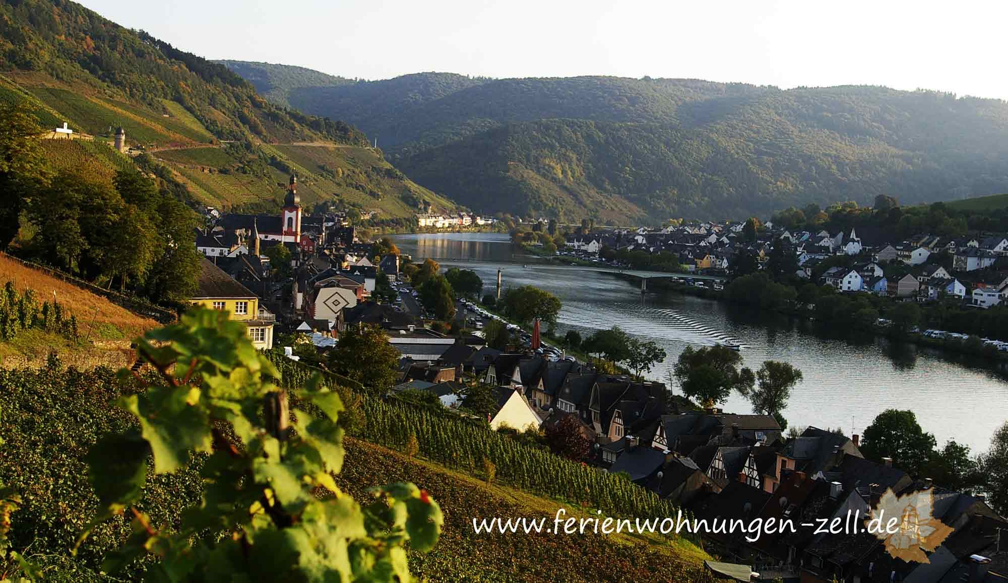 Wanderwege in Zell Mosel