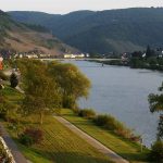 Blick durch das große Dachfenster